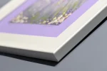 corner of white frame of lovely in lilac